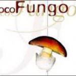 Cocofungo: un mondo di funghi in cucina