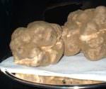 Tarfufo bianco di Calabria: salute al nuovo re della tavola