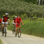 Tuscany Wine and Bike: la Toscana del vino ed una bicicletta