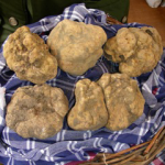 Lambrusco Grasparossa e Fungo Porcino protagonisti del "Wine Food Festival 2012"