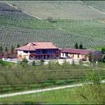 Vino libero: la nuova via del vino secondo Oscar Farinetti