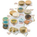 Roma: Fiera "Salumi e formaggi"