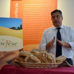 Agricoltura biologica, grani antichi: rinasce il pane di Alberese
