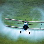 Glifosato, uno studio francese aggrava i dubbi sui rischi per la salute