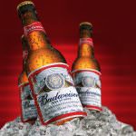 Budweiser, il nuovo sogno americano passa dalla birra