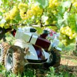 Robot vignaiolo? La Francia dice no