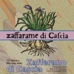 1 Novembre, Cascia mette in mostra lo zafferano