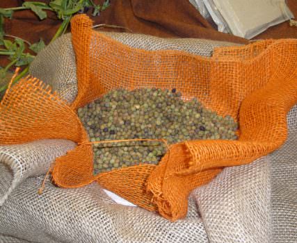 La Fagiolina del Trasimeno, Presidio Slow Food