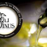 Olivinus 2012, medaglia d'oro all'extravergine Monte Schiavo