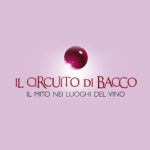 Vino, turismo, cultura. In Sicilia col Circuito di Bacco