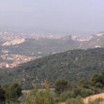 Terra Madre Day, ecco la Comunità del cibo dei Monti Tifatini