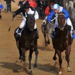 Il Palio di Buti: cavalli, carrozze e trippa