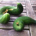 Culinary Misfits: la frutta e verdura recuperata diventa trendy