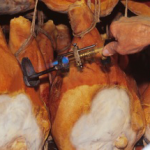 Prosciutto di Modena Dop: Ottimi i risultati del 2012