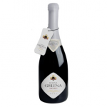 Sanremo 2013: Lui & Lui con "Donna Gislena Medici", il nuovo spumante di alta classe della Cantina-Museo di Alberobello