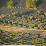 El Fuego, la tierra y el viento ovvero... la Malvasia di Lanzarote