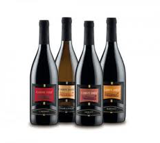 Cantina Ponte: Vino di eccenza e impegno sul territorio