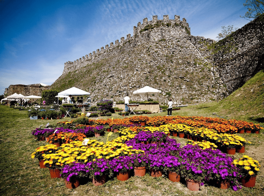 Fiori nella Rocca, una ricca e curiosa mostra mercato di piante e fiori rari