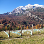 Il 16 ed il 17 giugno la II edizione di GustoCortina