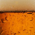 Birra, piacere e dipendenza per il cervello maschile