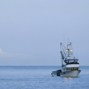 16 maggio: Apre la stagione della pesca del salmone selvaggio dell’Alaska