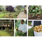 Il "Ristorante Villa Calini" presenta le "stanze vegetali"