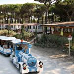 Vacanze al mare sulla Riviera Romagnola, in camping a Cesenatico: Bungalow o Tenda?