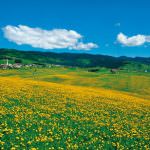 Asiago, con Luigi Cremona nel paradiso turistico ed enogastronomico dei 7 comuni