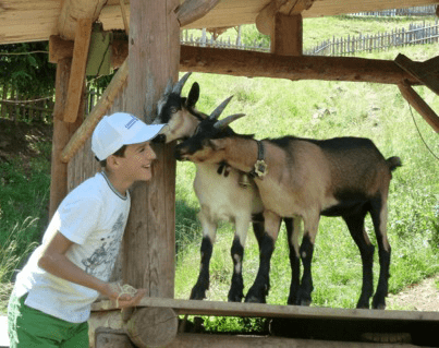 Campeggio nelle Dolomiti tra relax, Zoo delle carezze e cromoterapia