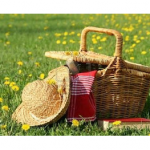 Ferragosto 2013, ritorno al pic-nic