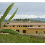 Azienda agricola Ribusieri: tris di vini genuini dell'alta Maremma