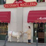 Ristorante Macelleria Motta: Ottima carne + ottimo vino = Successo
