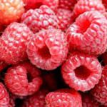 Lamponi, e cresce la fertilità