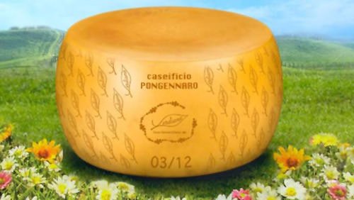 Verdiano, formaggio green senza caglio animale