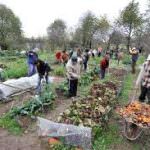Udine, la carica degli orti urbani