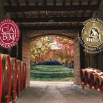 In provincia di Modena le acetaie aprono le porte!