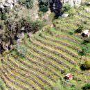 XXI Concorso enologico dei vini di montagna: “Armacìa” vince la medaglia d’oro