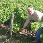 L'Italia del Vino: consumi interni ancora in calo, è giusto puntare tutto sull'export?