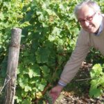 Giampietro Comolli in Francia: 30 giorni "immerso" nel vino (Parte 1 di 5: Vino Biologico)