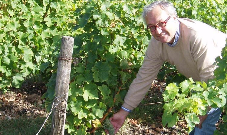 Giampietro Comolli in Francia: 30 giorni “immerso” nel vino (Parte 1 di 5: Vino Biologico)