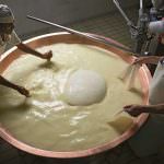 Latterie Vicentine alla fiera Cosmofood a Vicenza