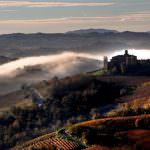 Piemonte Anteprima Vendemmia 2013: a Milano presentati i dati dell'annata vitivinicola