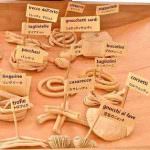 IDENTITÀ di PASTA n° 31 del 28.11.2013, la newsletter di Paolo Marchi