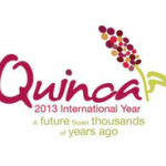 Coltivazione Quinoa in Italia: matrimonio possibile?