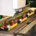 Brio Spa chiude in positivo il 2013