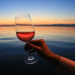 Vino digitale, ecco App e siti