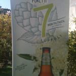 Arriva la Primavera: 7 Luppoli Non Filtrata La Fiorita