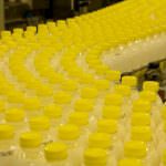 Arborea, azienda lattiero-casearia leader in Sardegna, in grande crescita anche su tutto il territorio nazionale