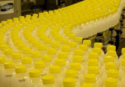 Arborea, azienda lattiero-casearia leader in Sardegna, in grande crescita anche su tutto il territorio nazionale