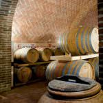 Vino, vendemmia 2014: Italia è seconda ma l'Europa è primissima (almeno per ora)